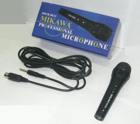 MICR 0813